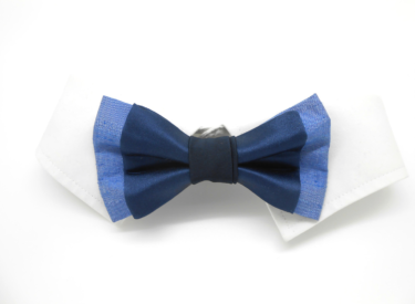 Noeud Papillon